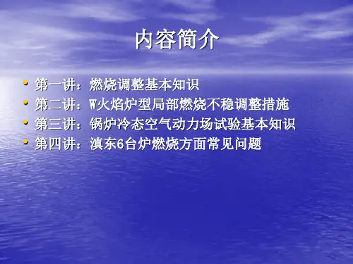 北巴w火焰炉型燃烧调整工作培训(4)