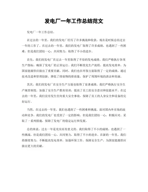 发电厂一年工作总结范文
