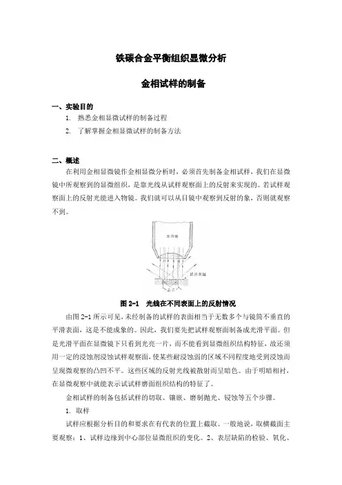 铁碳合金平衡组织显微分析