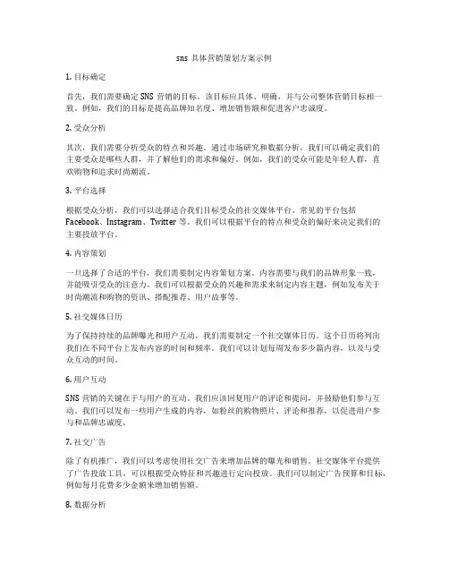 sns具体营销策划方案示例