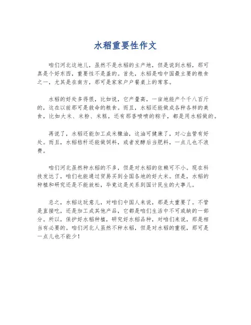 水稻重要性作文