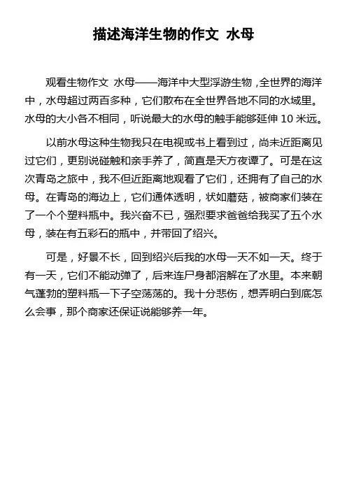 描述海洋生物的作文水母
