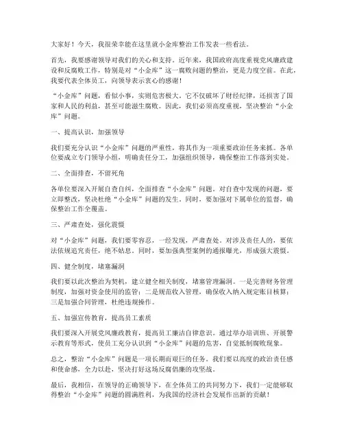 小金库整治工作发言稿范文
