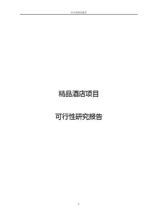 精品酒店项目可行性研究报告