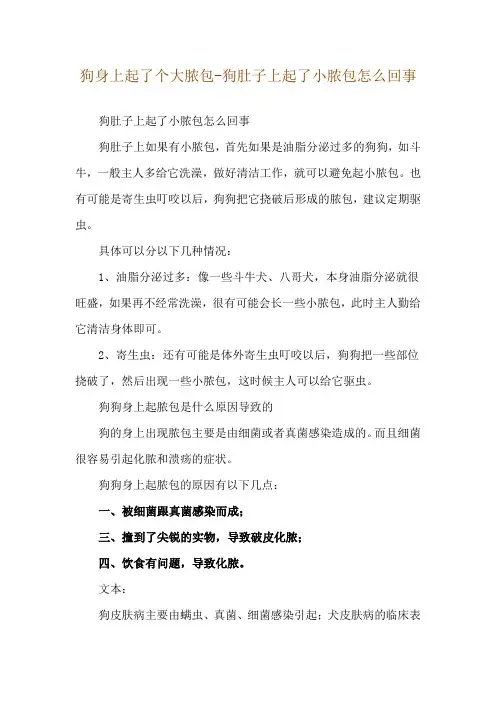 狗身上起了个大脓包-狗肚子上起了小脓包怎么回事