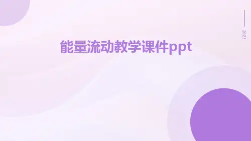 能量流动教学课件PPT