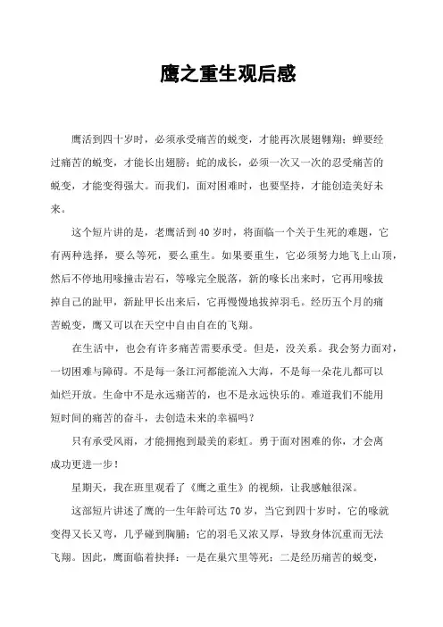 鹰之重生观后感