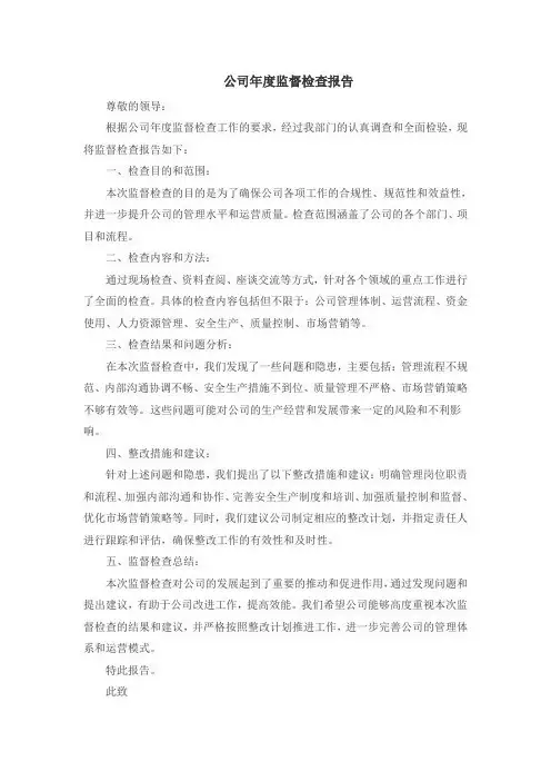 公司年度监督检查报告