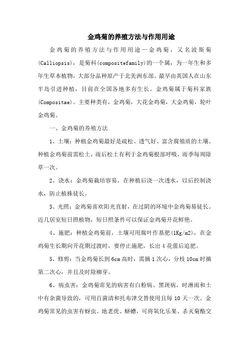 金鸡菊的养殖方法与作用用途