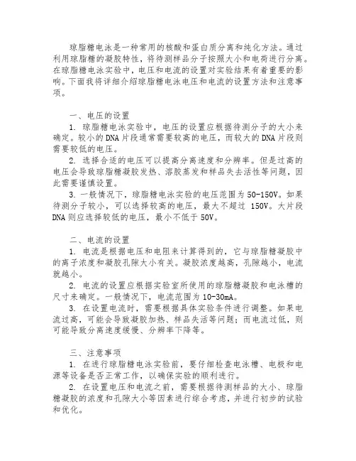 琼脂糖电泳电压和电流设置