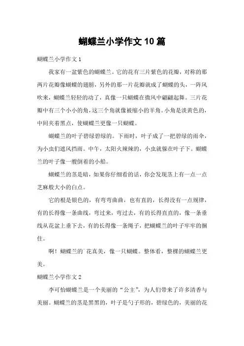 蝴蝶兰小学作文10篇