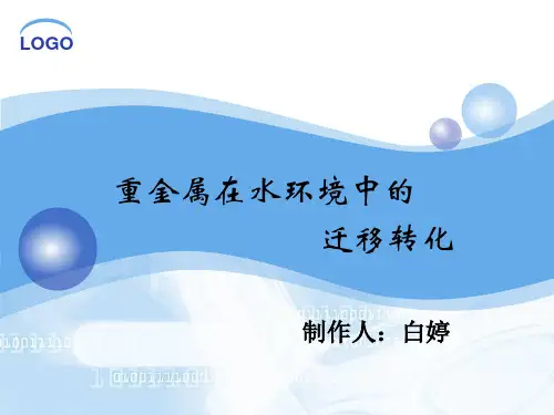 水环境中重金属的迁移转化