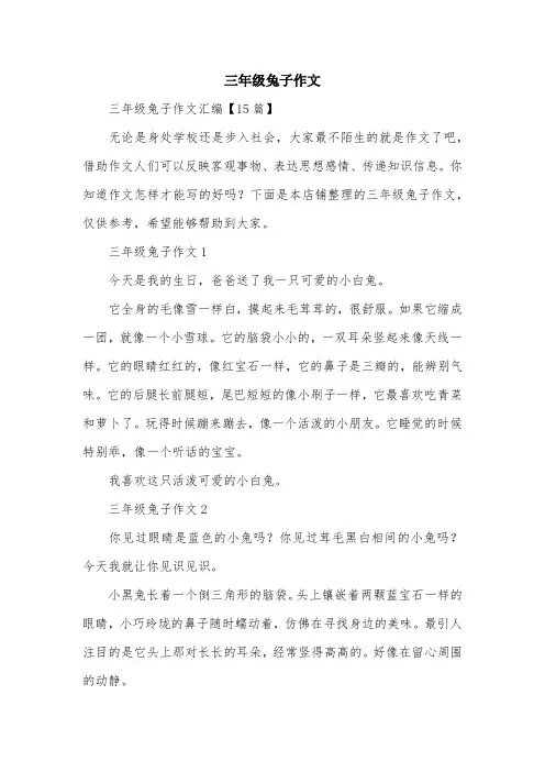 三年级兔子作文