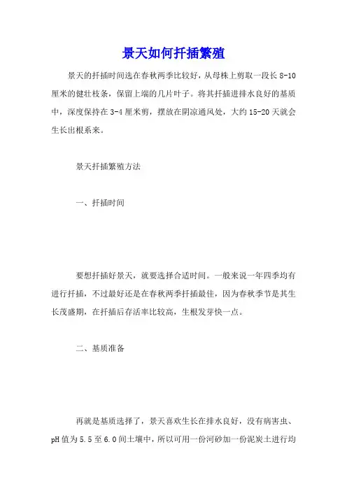 景天如何扦插繁殖