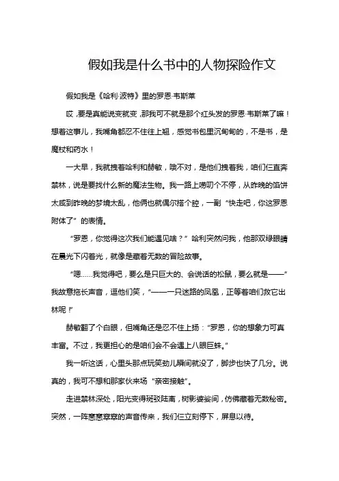假如我是什么书中的人物探险作文
