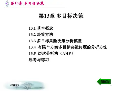 《多目标决策》PPT课件