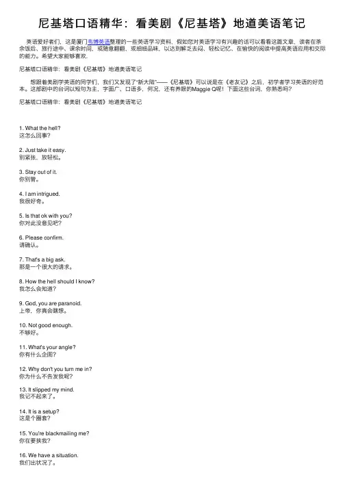 尼基塔口语精华：看美剧《尼基塔》地道美语笔记