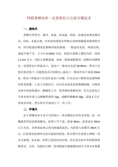 网箱黄鳝初养一定要把好六方面关键技术