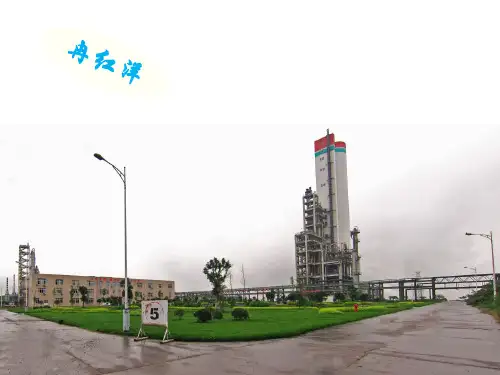 尿素培训资料