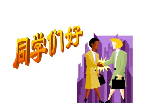 《会计信息系统》PPT课件