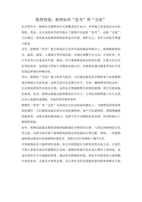 植物智能：植物如何“思考”和“交流”