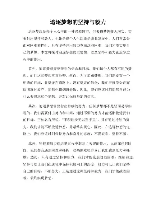 追逐梦想的坚持与毅力
