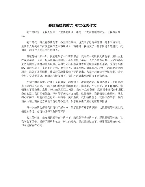 那段温暖的时光_初二优秀作文