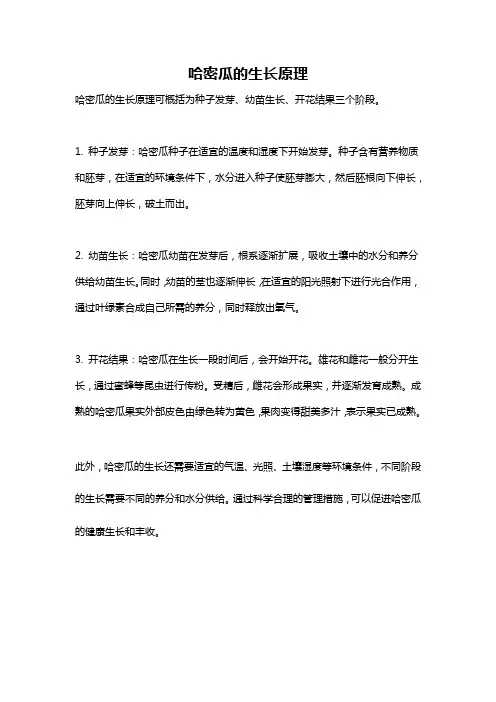 哈密瓜的生长原理