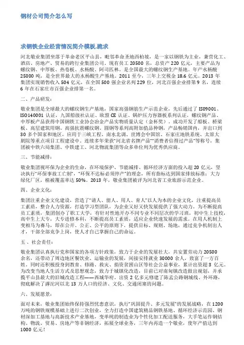 钢材销售公司简介范文3篇