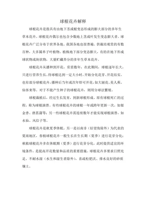 球根花卉解释