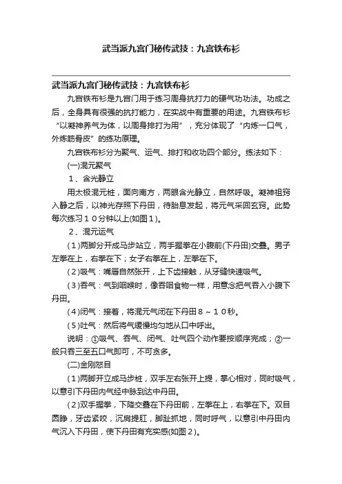 武当派九宫门秘传武技：九宫铁布衫