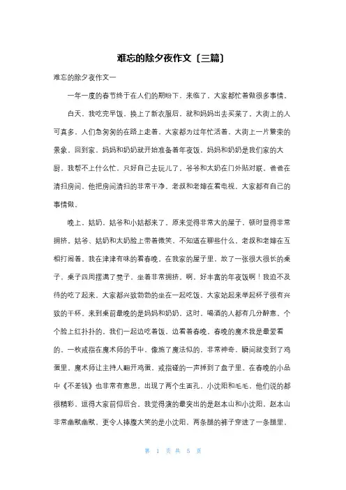 难忘的除夕夜作文(三篇)