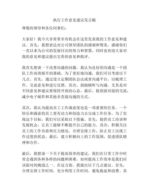 执行工作意见建议发言稿