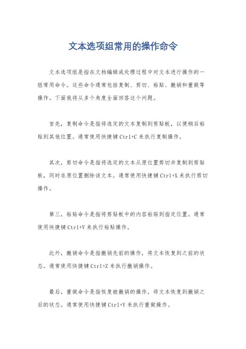 文本选项组常用的操作命令