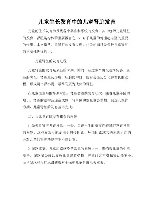 儿童生长发育中的儿童肾脏发育
