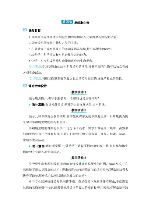 2024年人教版七年级生物上册第三章教学设计4. 第四节 单细胞生物
