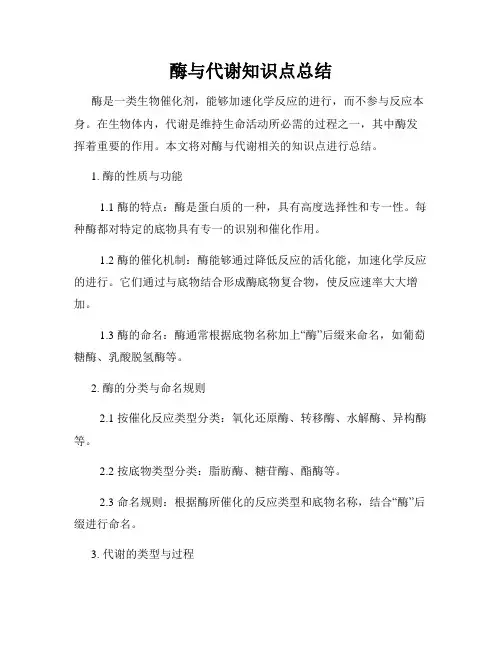 酶与代谢知识点总结
