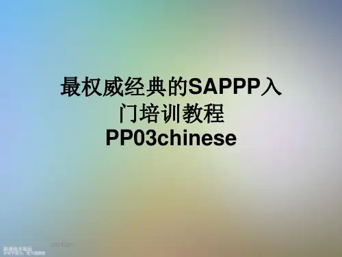 最权威经典的SAPPP入门培训教程PP03chinese