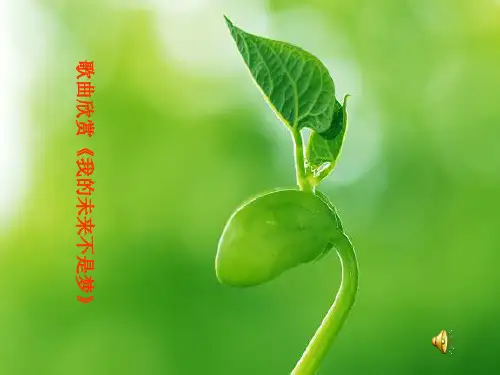 物理人教版九年级全册电功率教学精品PPT课件