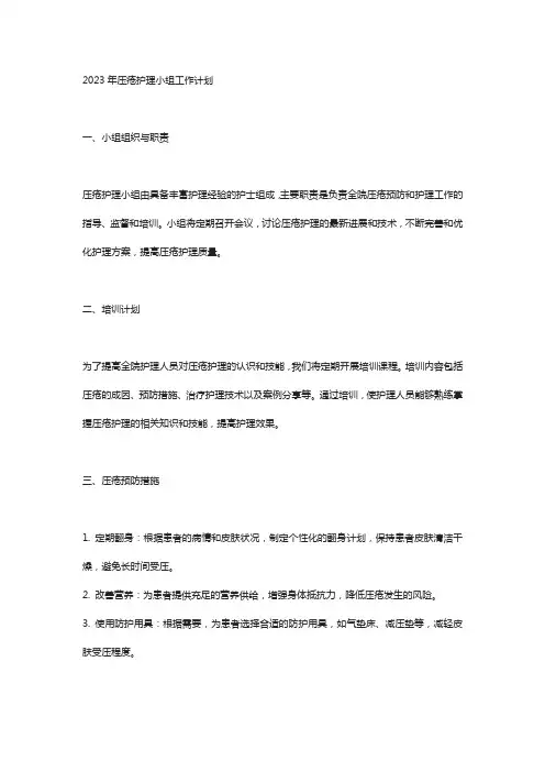2023年压疮护理小组工作计划