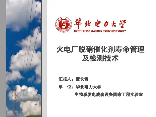 3001 脱硝催化剂寿命管理及检测技术--董长青-高攀