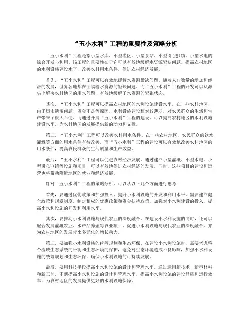 “五小水利”工程的重要性及策略分析