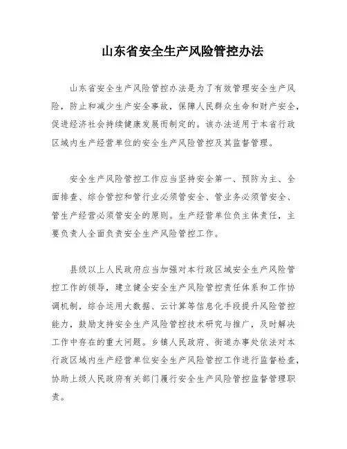 山东省安全生产风险管控办法