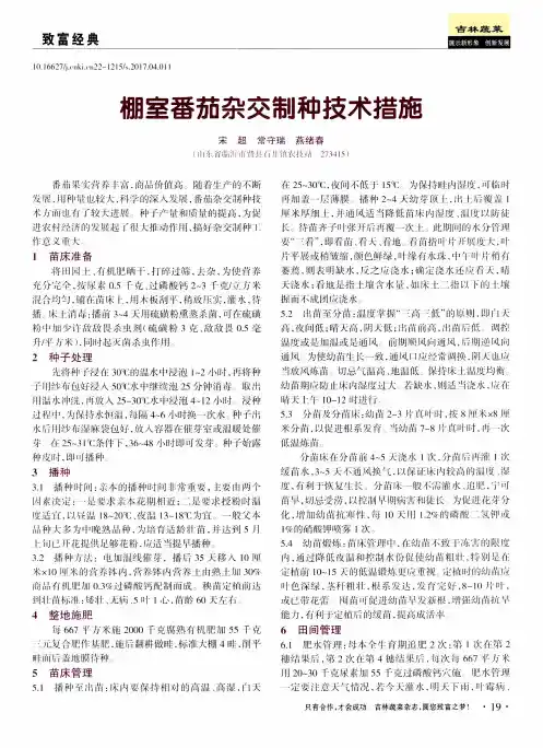 棚室番茄杂交制种技术措施