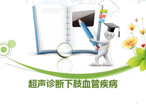 超声诊断下肢血管ppt课件