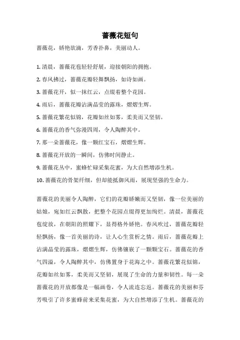 蔷薇花短句
