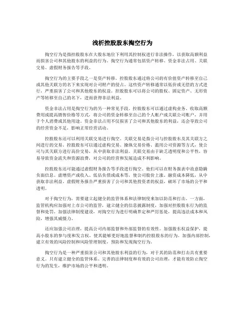浅析控股股东掏空行为