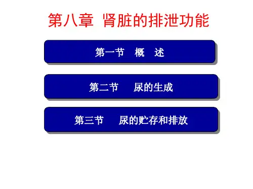 第八章-肾脏的排泄功能