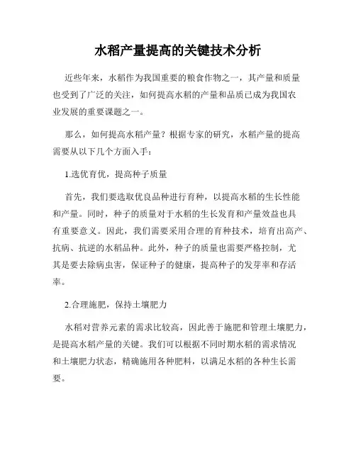 水稻产量提高的关键技术分析