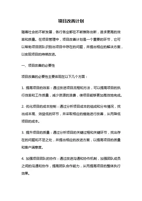 项目改善计划